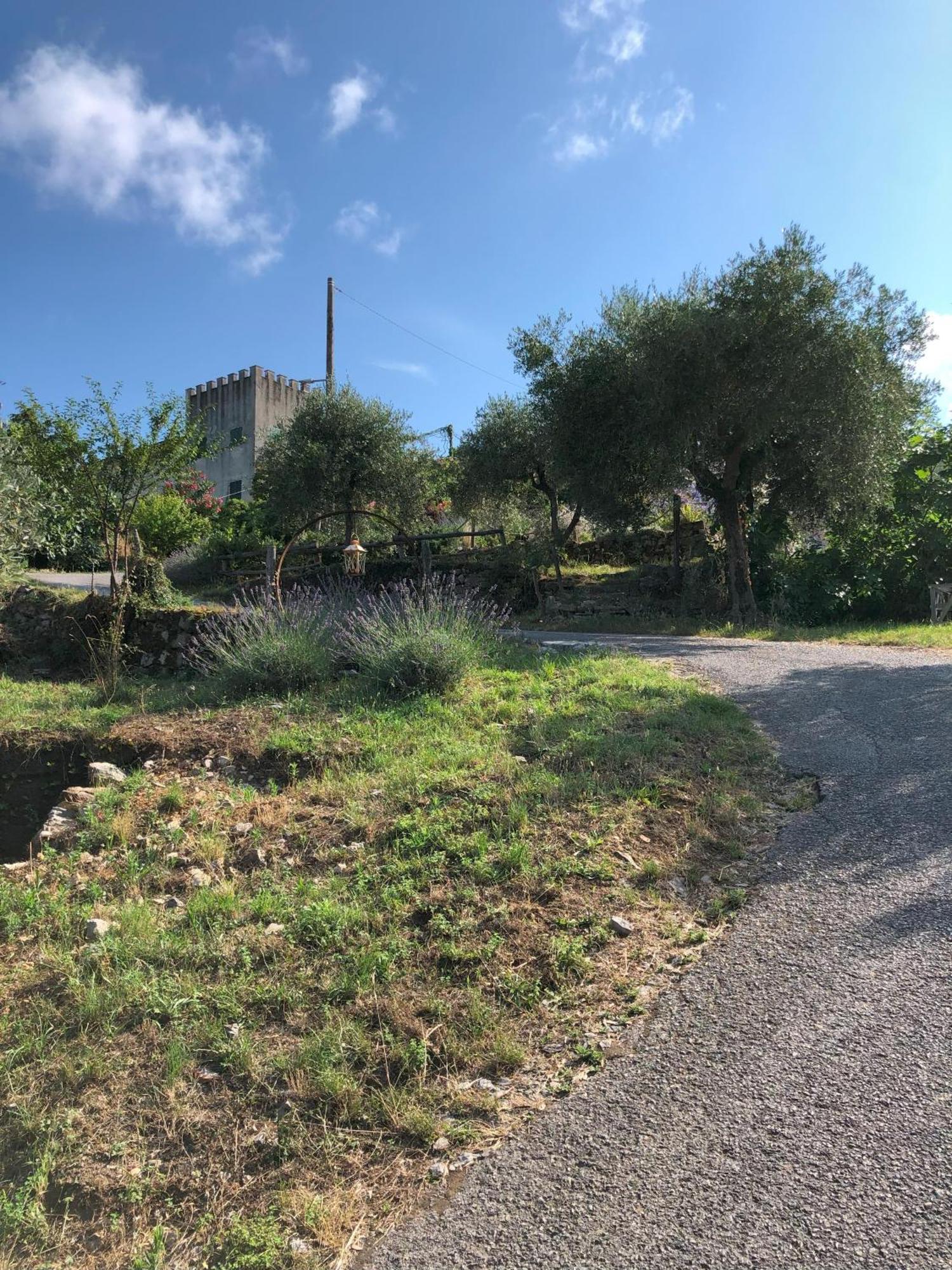 Bellosguardo Appartement